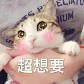 卖萌表情包小可爱柠檬