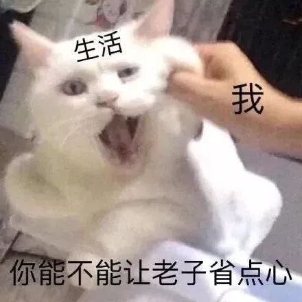 我们最好的时光,就是现在吗