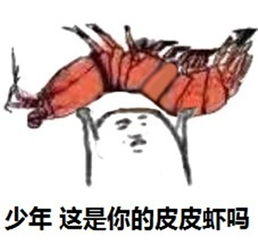 皮皮虾我们走是什么梗什么意思皮皮虾我们走表情包下载