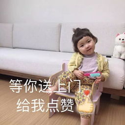 别看了,我不是什么好人
