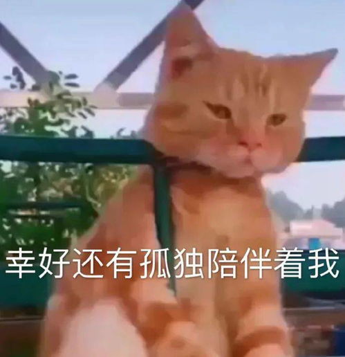 一点点是整个宇宙的表情包考研