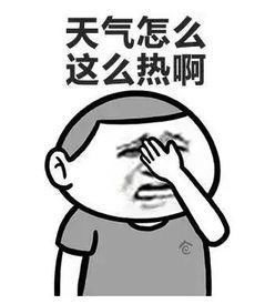 天气好热表情包合集我和烤肉之间只差一撮孜然了