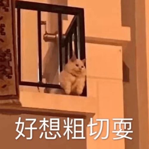 过年被迫宅家这些线上app玩到我不想出门