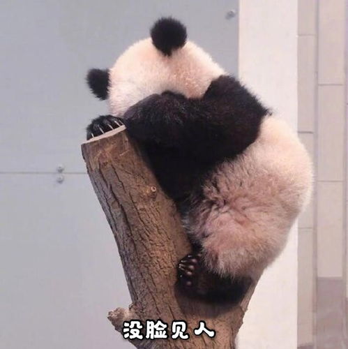 千万不要让闺蜜给你拍唯美照片哈哈哈哈哈哈哈我当场去世