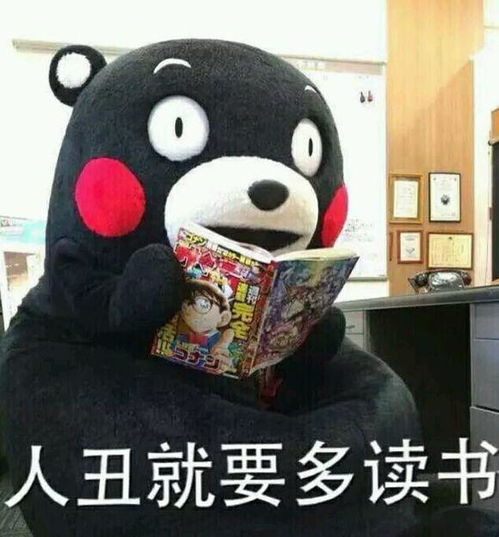 拥有一大波熊本熊表情图是一种什么样的体验