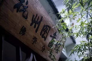 70后文艺大叔把床藏在山中,睡遍了四季