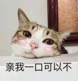 哄小哥哥表情包小哥哥好帅老公男神