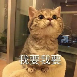 圣诞节首发爆料想穿新衣服吗