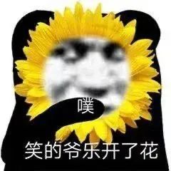 反矫情达人邓孝慈