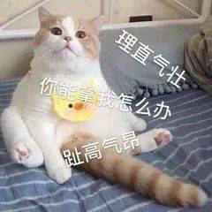 神装秀抱歉这个穿着固定三物躲加轻鸿神衣的紫光司星就是为所欲为