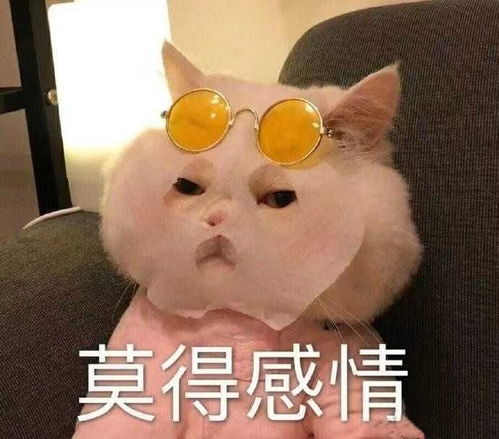像有个大病似的520沙雕句