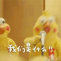 点艺开工还在家养肉呢
