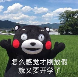 最近很火的小可爱表情包,萌skr人,最后一张学生党都在用