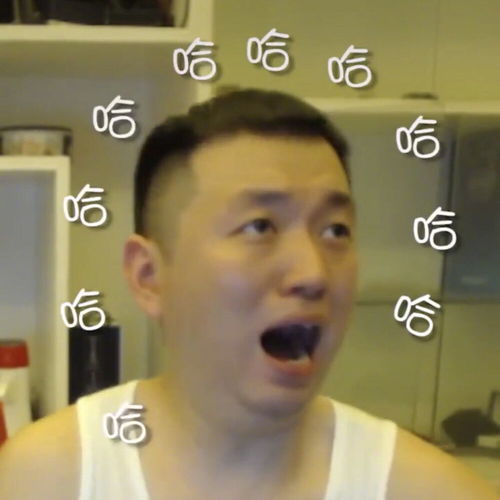 沙雕表情包l丑丑的我也想要哥哥