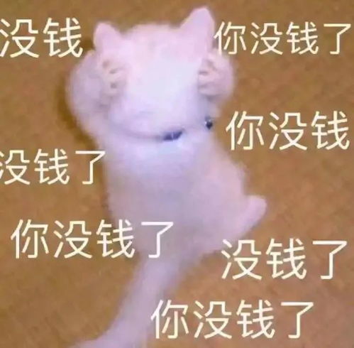 表情包丨我们一起做个人好不好