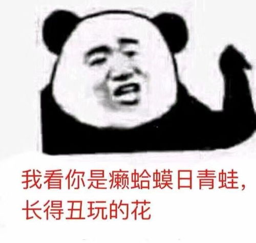 我的收藏夹