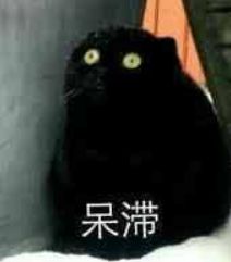 网友说他家猫会自己用脚挖鼻孔,我不信,直到看到照片...