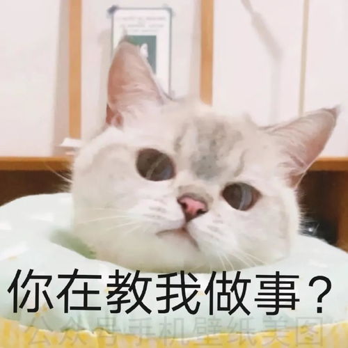 可爱沙雕表情包零下几度,可别冻坏了我的宝贝