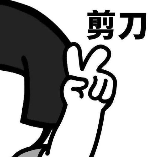 抖音我们来玩石头剪刀布吧熊猫头无水印表情包