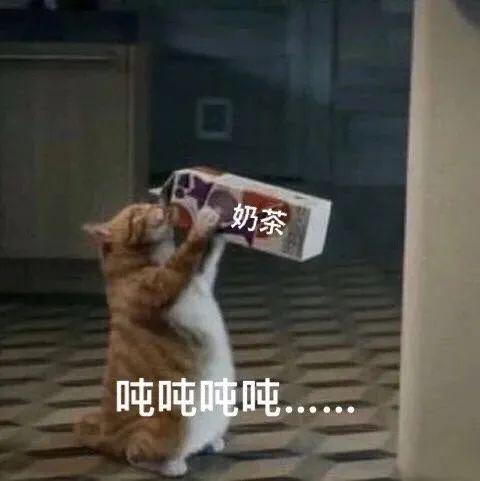 我一口气喝了13杯奶茶