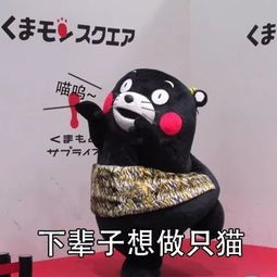 表情包我的快递被火烧了么
