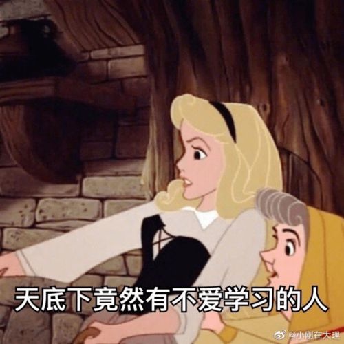 到底哪一条,才是绝佳的期末求生之路