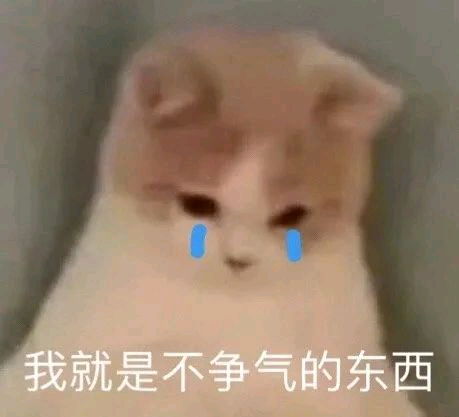 表情包6