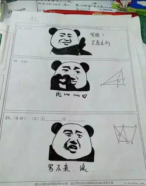 罗老师表情包动画试卷