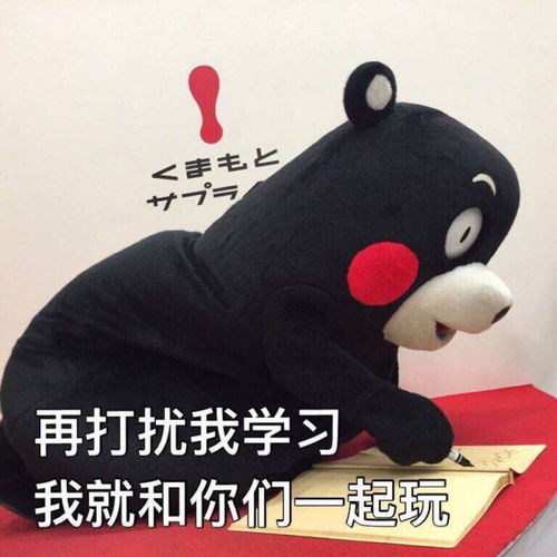 寝室太无聊,图书馆的学习氛围不够,哪里能找到学习的好去处