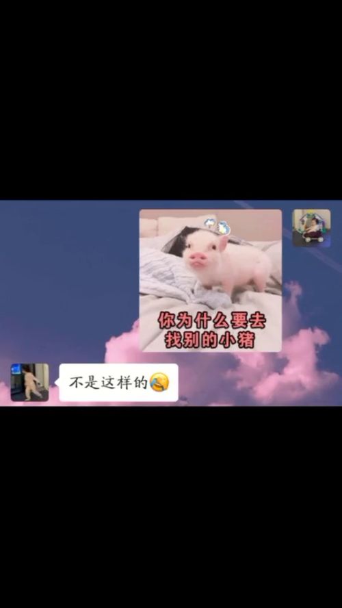 套路男朋友表情包,你是不是在外面有别的小猪了