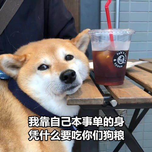 直男七夕送礼指南,这四款总有你女票的菜