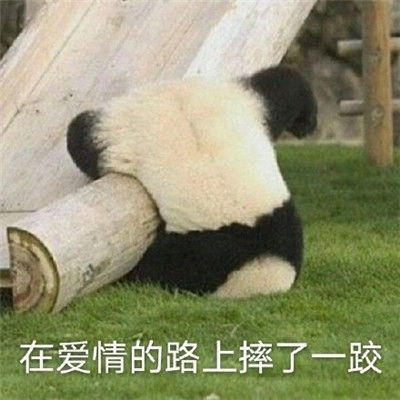 微信最火沙雕表情包精选搞笑沙雕聊天表情包