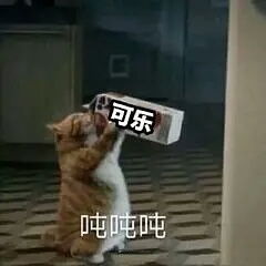 因为泡泡茶,我今天经历了社会性死亡
