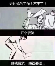起来吧朕的籽岷表情包荔枝