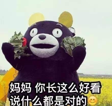 笑疯小学生作文我的妈妈正在刷屏网友这孩子不要了