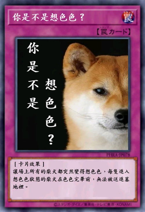 狗子色色表情包
