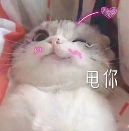 天气丨本周前半段阳光正好微风不燥,后半段大风冷空气又来凑热闹