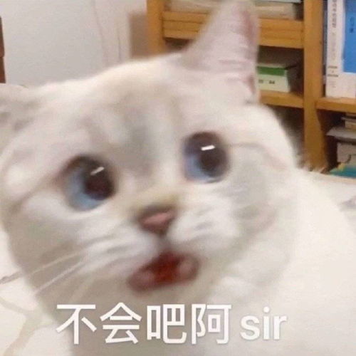 我妈发表完莫名其妙的抬杠言论后,我说我妈有毛病,结果被制裁了抽耳光下跪