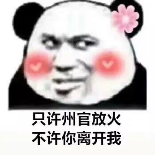 今日热门斗图表情网恋选我,我超甜