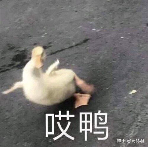 你用过最能表达心情的表情包是什么