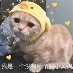 穿搭