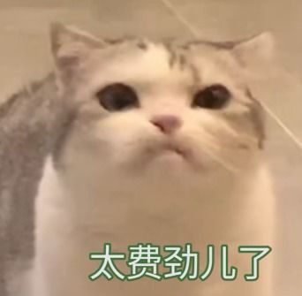 表情包可爱猫猫头