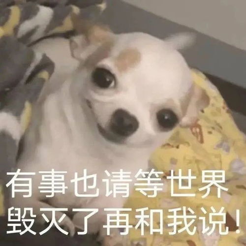 表情什么都不去做才会来不及