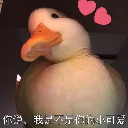 快看,我的屏幕进水了抖音超火的雨点壁纸