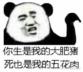 河图与许嵩的古风歌曲区别在哪,曲风或者是歌词