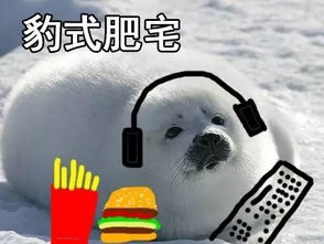 不说了,我要一夜豹富