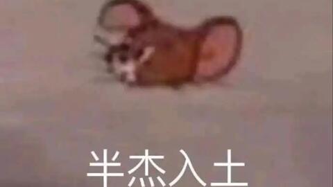 半夜罗莎被吊打