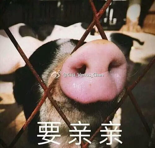有在家上班的仙女吗