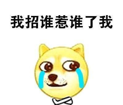 小学和大学的区别,太过于真实了