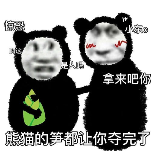 表情包山上的笋都让你夺完了